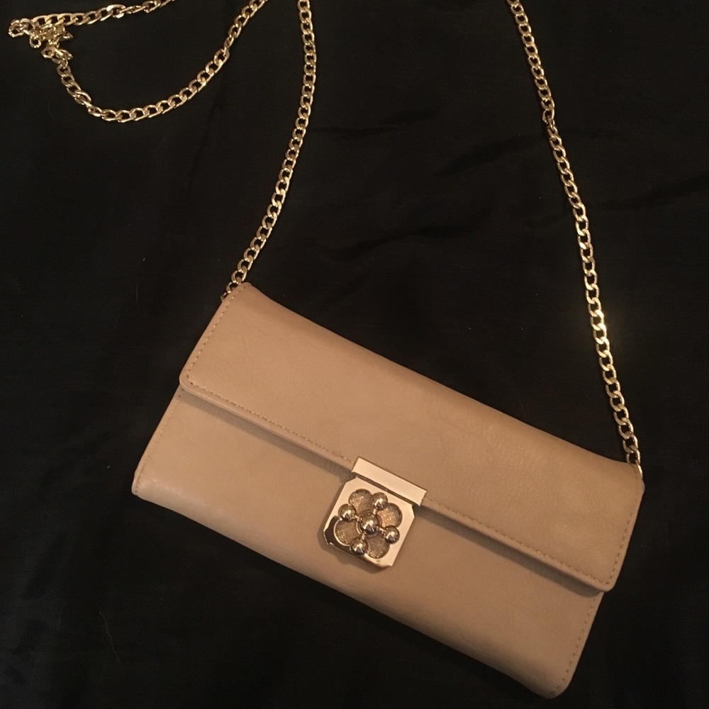 Charming Charlie’s purse